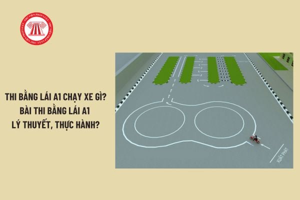 Thi bằng lái a1 chạy xe gì? Thi bằng lái a1 lý thuyết, thực hành gồm những bài thi nào? Bao nhiêu tuổi được thi bằng lái a1?