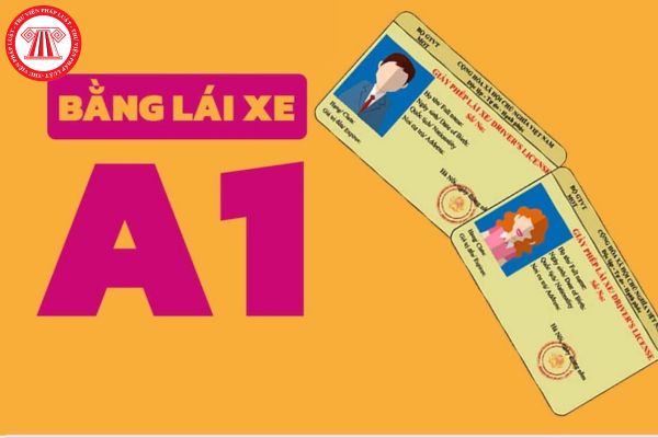 03 lưu ý quan trọng khi thi bằng lái xe A1? Có bằng lái xe A1 thì được chạy xe bao nhiêu phân khối?