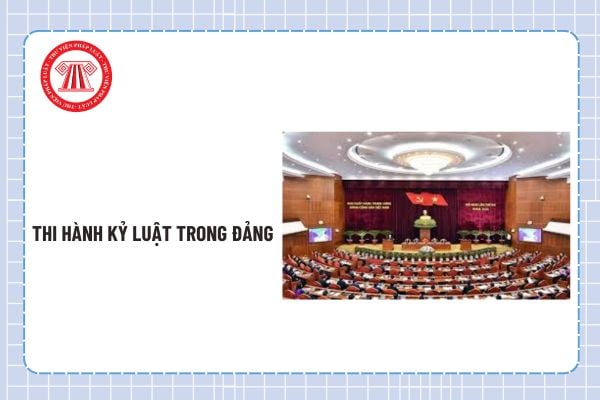 Pháp luật