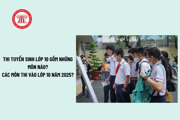 Thi tuyển sinh lớp 10 gồm những môn nào? Các môn thi vào lớp 10 năm 2025? Thi tuyển sinh lớp 10 thi mấy môn?