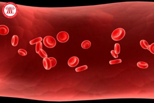 Làm thế nào để phòng ngừa bệnh thiếu máu hồng cầu nhỏ nhược sắt cho trẻ em ngay từ khi còn nhỏ?
