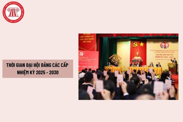 Pháp luật