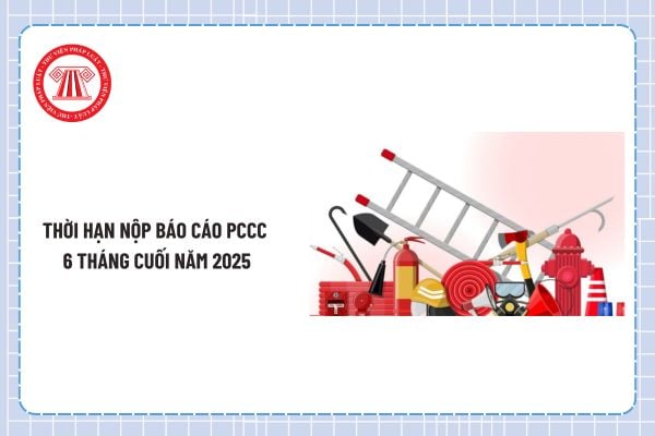 Pháp luật