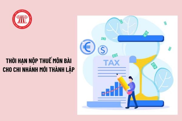 Thời hạn nộp thuế môn bài cho chi nhánh mới thành lập? Chi nhánh mới thành lập có được miễn thuế môn bài không?