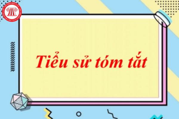 Tiểu sử tóm tắt theo Mẫu 03a-BNV/2007? Mẫu tiểu sử tóm tắt cán bộ công chức được quy định như thế nào?