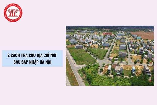 Pháp luật