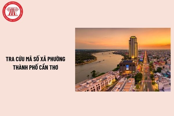 Pháp luật