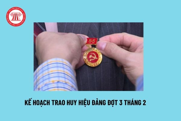 Trao Huy hiệu Đảng đợt 3 2: Mẫu Kế hoạch trao Huy hiệu Đảng? Mức tặng thưởng kèm theo Huy hiệu Đảng?