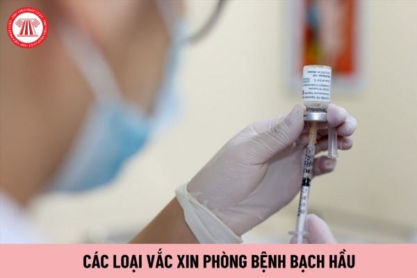 Có những loại vắc xin phòng bệnh bạch hầu nào? Lịch tiêm vắc xin phòng bệnh bạch hầu cho trẻ em, người lớn?