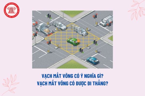 Vạch mắt võng có ý nghĩa gì? Vạch mắt võng có được đi thẳng không? Vị trí đặt vạch mắt võng theo Quy chuẩn 41?