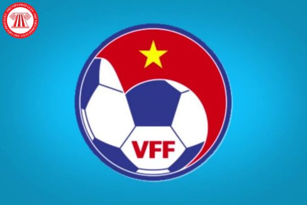 VFF là gì? Điều kiện, hồ sơ xin gia nhập Liên đoàn Bóng đá Việt Nam (VFF) được quy định như thế nào?