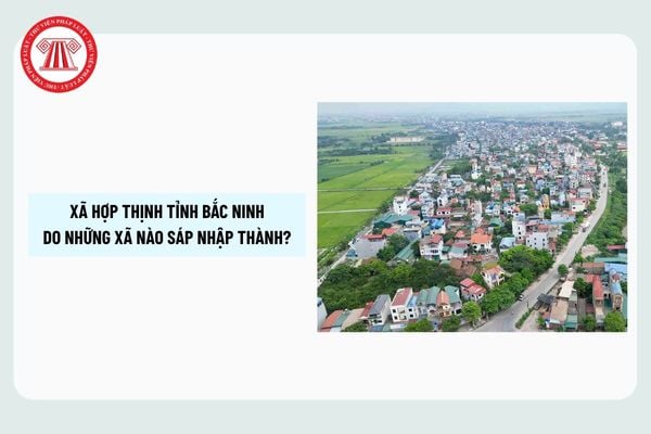 Pháp luật