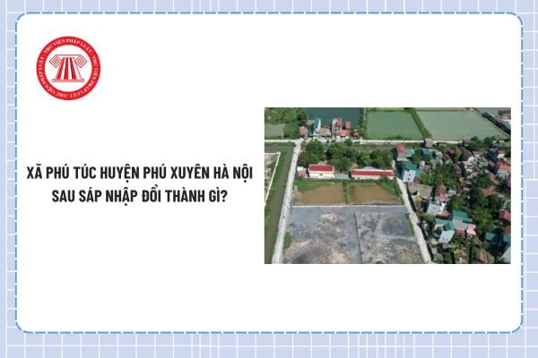Pháp luật