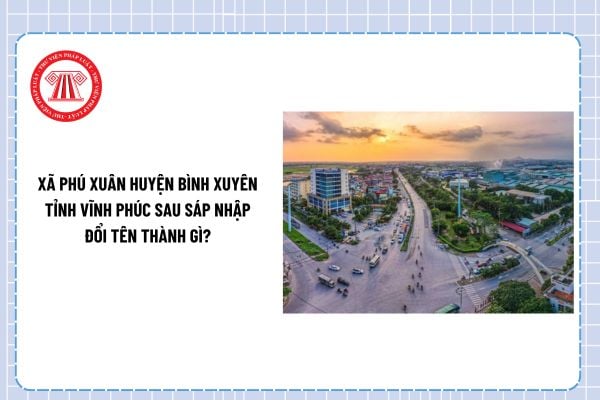 Pháp luật