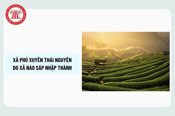 Pháp luật