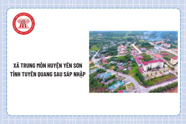 Pháp luật