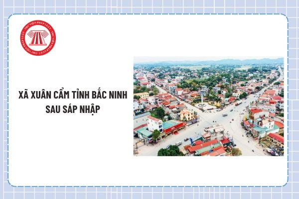 Pháp luật