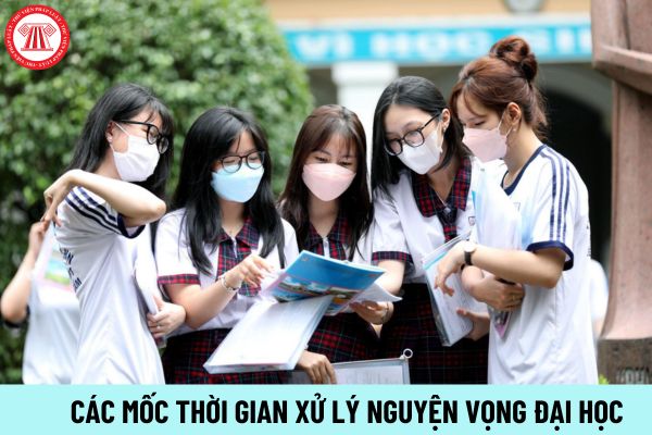 Các mốc thời gian xử lý nguyện vọng xét tuyển đại học của thí sinh? Nguyên tắc xét tuyển đại học?