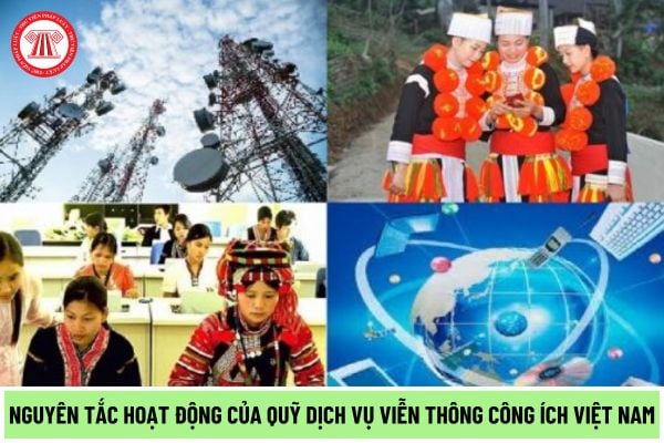 Quỹ Dịch vụ viễn thông công ích Việt Nam hoạt động theo mấy nguyên tắc? Quỹ Dịch vụ viễn thông công ích Việt Nam được sử dụng vào mục đích gì?