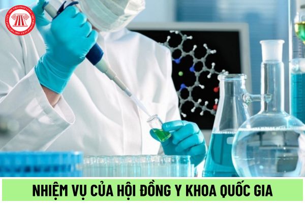 Nhiệm vụ của Hội đồng Y khoa Quốc gia theo quy định mới nhất năm 2024 là gì?