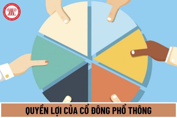 Cổ đông phổ thông của tổ chức tín dụng là công ty cổ phần được hưởng những quyền lợi nào theo quy định mới nhất 2024?