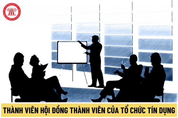 Thành viên Hội đồng thành viên của tổ chức tín dụng không được đồng thời đảm nhiệm cùng một chức vụ nào theo quy định mới nhất 2024?