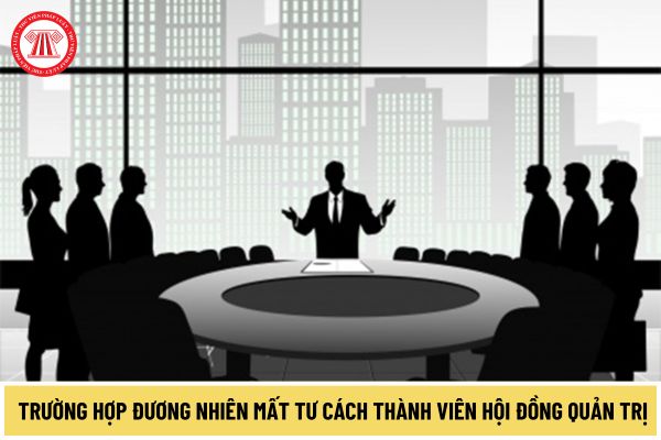 Những trường hợp nào đương nhiên mất tư cách thành viên Hội đồng quản trị của tổ chức tín dụng theo quy định mới nhất 2024?