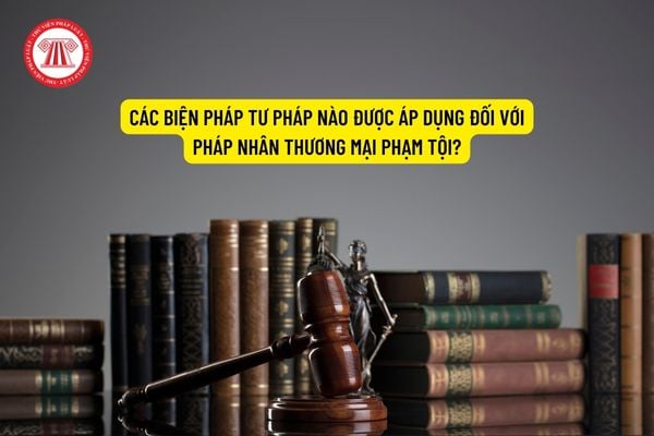 Các biện pháp tư pháp nào được áp dụng đối với pháp nhân thương mại phạm tội?