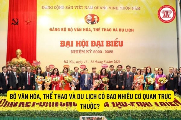 Bộ Văn hóa, Thể thao và Du lịch có bao nhiêu cơ quan trực thuộc? 