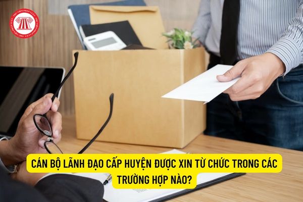 Cán bộ lãnh đạo cấp huyện được xin từ chức trong các trường hợp nào?