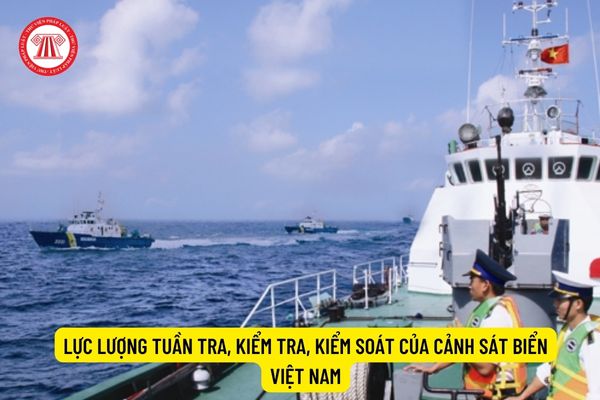 Lực lượng tuần tra, kiểm tra, kiểm soát của Cảnh sát biển Việt Nam