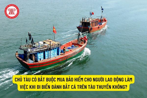 Chủ tàu có trách nhiệm gì đối với với thuyền viên trong vấn đề an toàn lao động? 