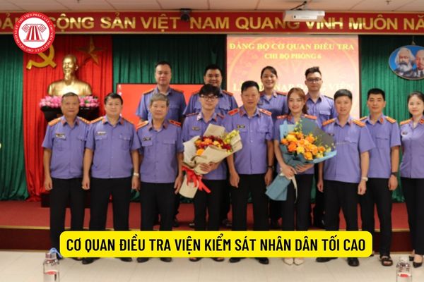 CLB Thanh Hóa Bầu Đệ xin rút doanh nhân Cao Tiến Đoan thay thế  Bóng đá   Vietnam VietnamPlus