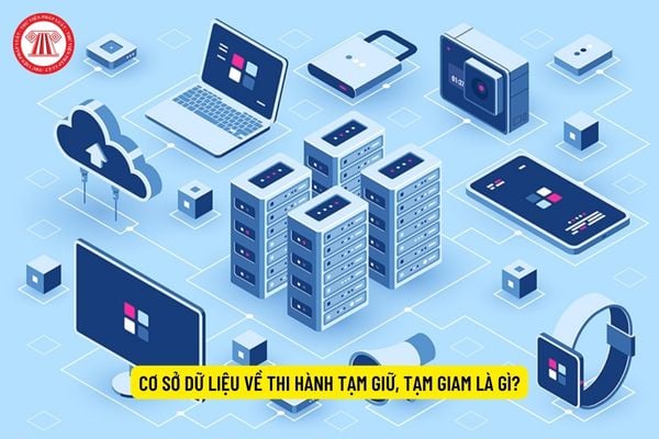 Cơ sở dữ liệu về thi hành tạm giữ, tạm giam là gì?