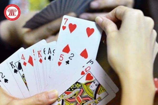 Nguy cơ phát sinh nạn đánh bạc núp bóng trong các CLB Bridga  Poker