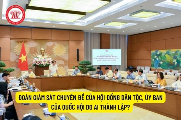 Đoàn giám sát chuyên đề của Hội đồng dân tộc, Ủy ban của Quốc hội do ai thành lập?