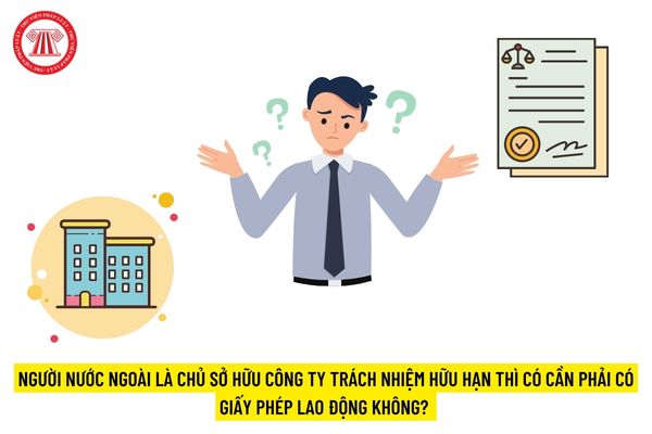 Người nước ngoài là chủ sở hữu công ty trách nhiệm hữu hạn thì có cần phải có giấy phép lao động không?