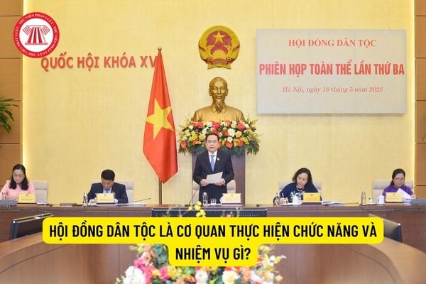 Hội đồng Dân tộc là cơ quan thực hiện chức năng và nhiệm vụ gì?