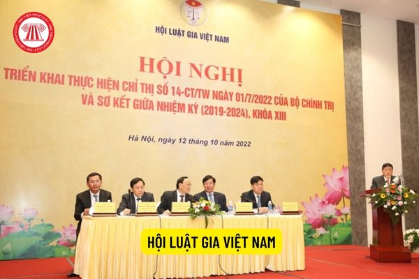 Hội Luật gia Việt Nam