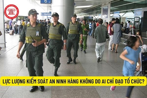 Lực lượng kiểm soát an ninh hàng không do ai chỉ đạo tổ chức?