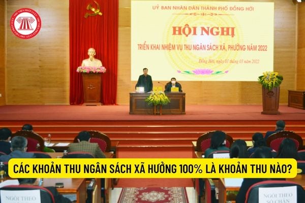 Các khoản thu ngân sách xã hưởng 100% là khoản thu nào?