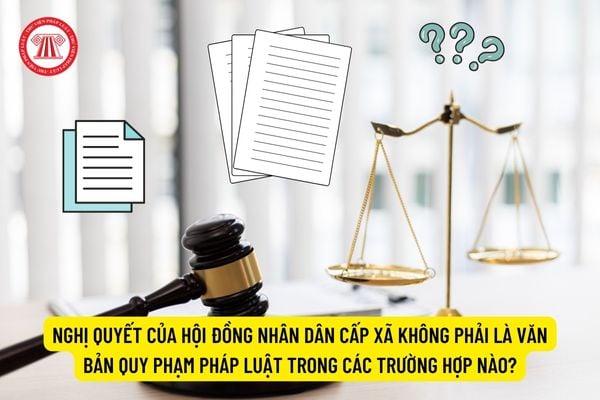 Nghị quyết của Hội đồng nhân dân cấp xã không phải là văn bản quy phạm pháp luật trong các trường hợp nào?