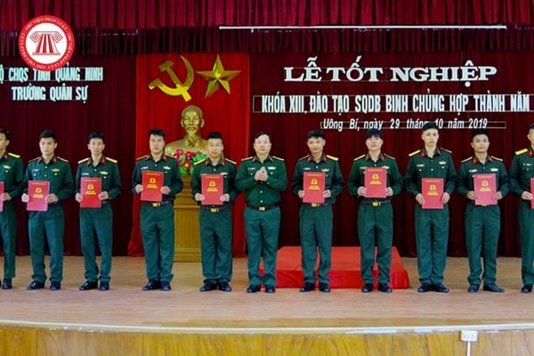 Sinh viên tốt nghiệp đại học có được tuyển chọn đào tạo sĩ quan dự bị không?