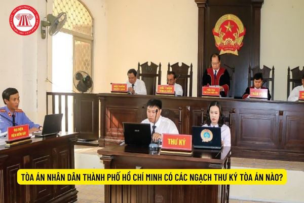 Tòa án nhân dân Thành phố Hồ Chí Minh có các ngạch Thư ký Tòa án nào?