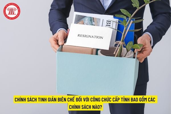 Chính sách tinh giản biên chế đối với công chức cấp tỉnh bao gồm các chính sách nào?