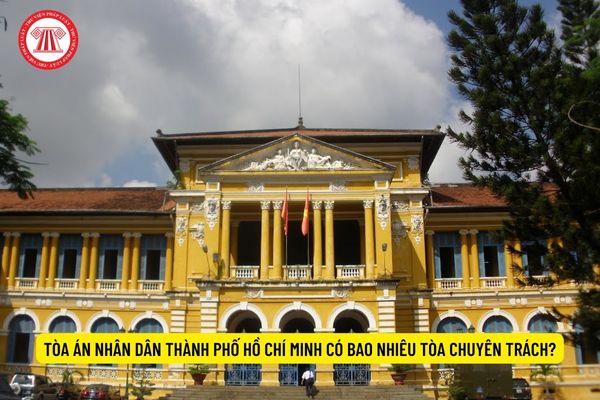 Tòa án nhân dân Thành phố Hồ Chí Minh có bao nhiêu Tòa chuyên trách?