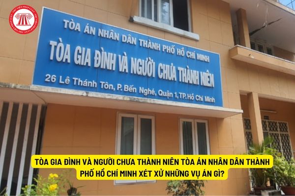 Tòa Gia đình và người chưa thành niên Tòa án nhân dân Thành phố Hồ Chí Minh xét xử những vụ án gì?