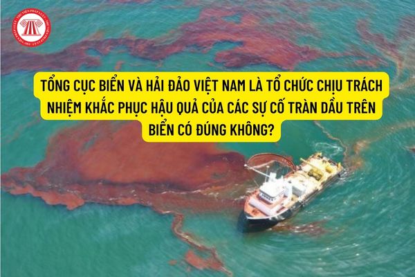 Tổng cục Biển và Hải đảo Việt Nam là tổ chức chịu trách nhiệm khắc phục hậu quả của các sự cố tràn dầu trên biển có đúng không?