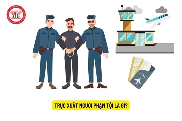 Trục xuất người phạm tội là gì? 