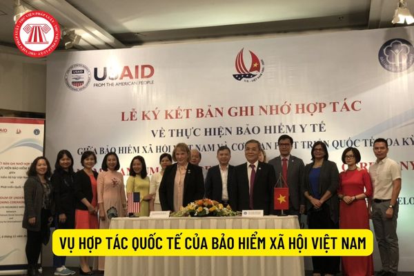 Vụ Hợp tác quốc tế là đơn vị thực hiện công tác đối ngoại của Bảo hiểm xã hội Việt Nam có đúng không?